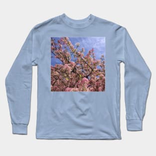 Spring Blossom Against a Blue Sky Long Sleeve T-Shirt